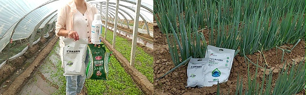 黄腐酸钾对农作物的作用-风光农业水溶肥